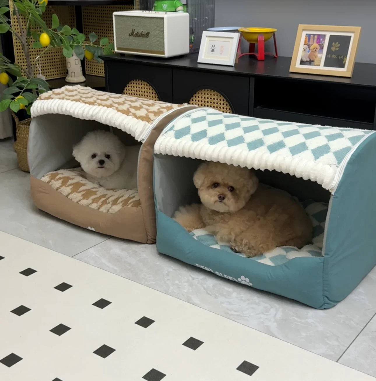 Cozy Dog House