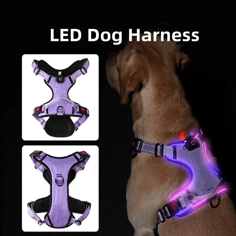 Luminous No Pull Dog Harness