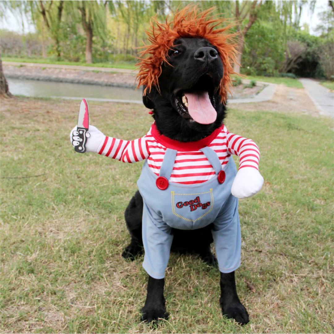 Chucky Halloween Pet Costume