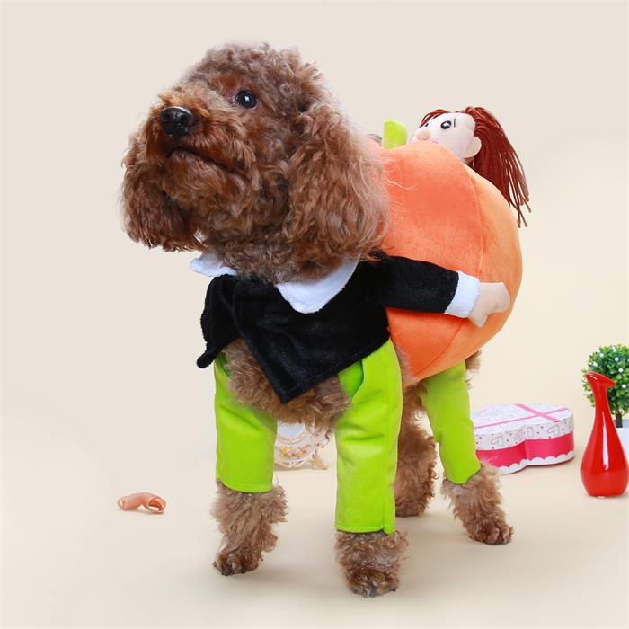 Pumpkin Carrying Halloween Dog Costume
