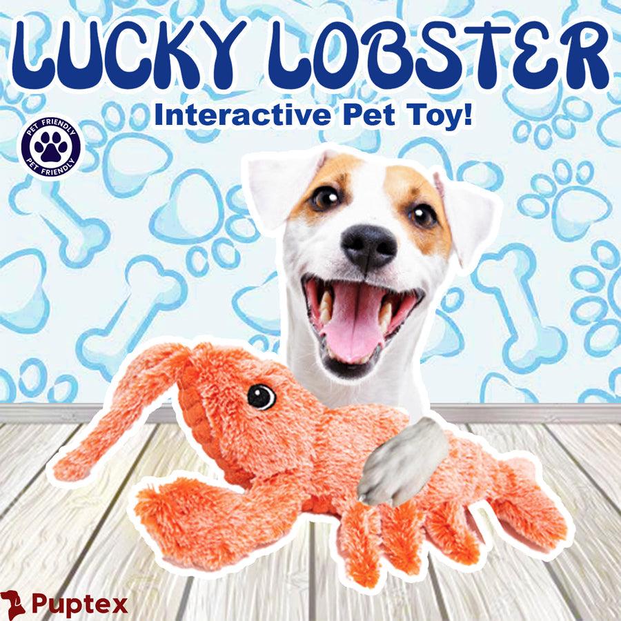 Lucky Lobster