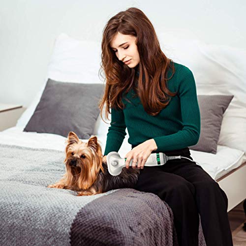 Portable and Quiet 2 in 1 Pet Hair Dryer
