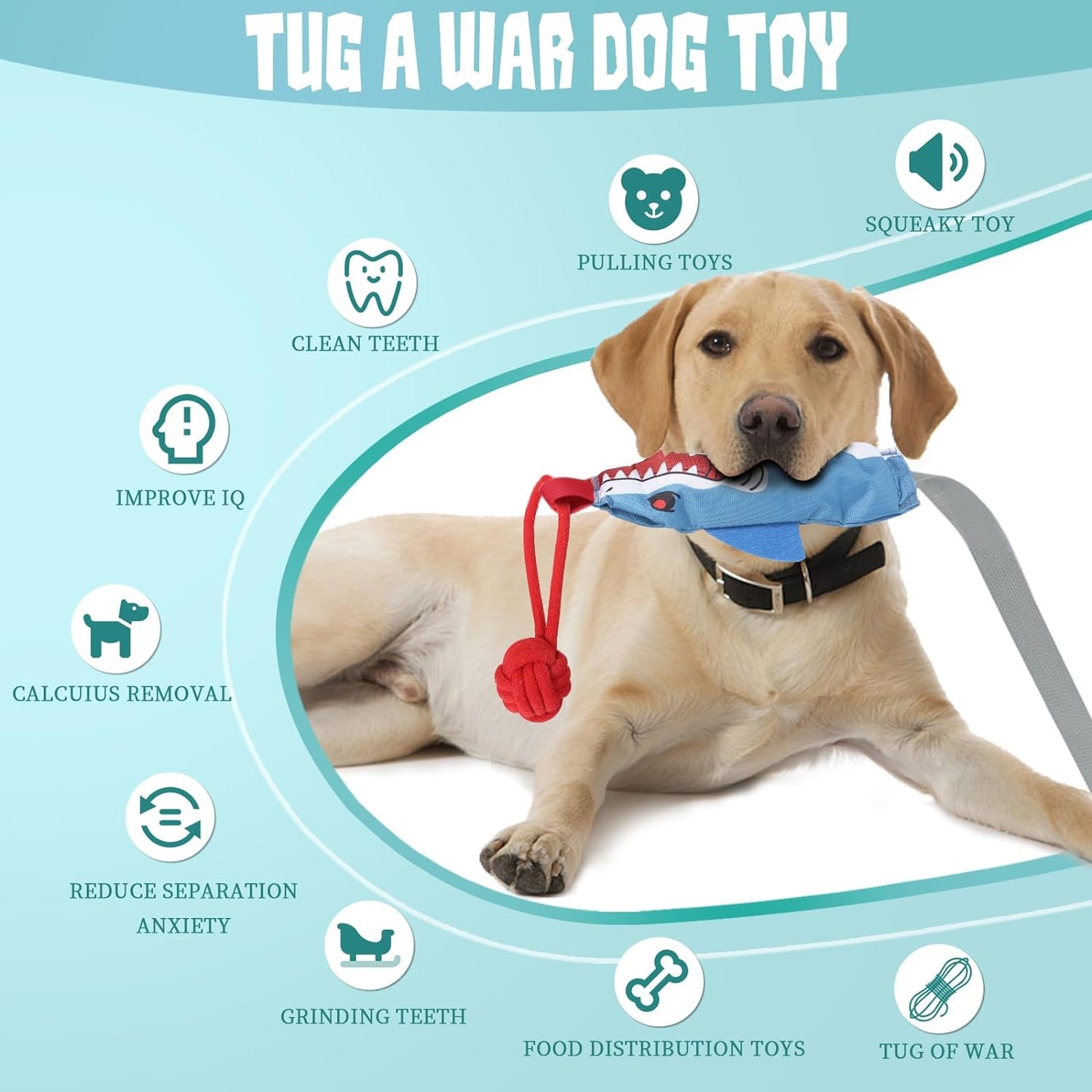 Suction Cup Tug of War Dog Toy