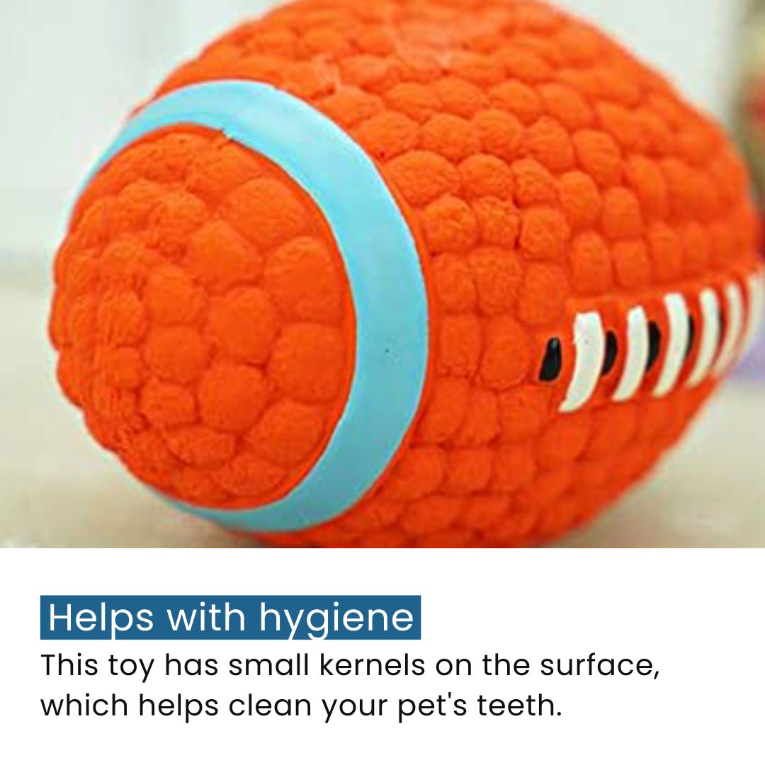 Chew Ball - Indestructible Dog Toy