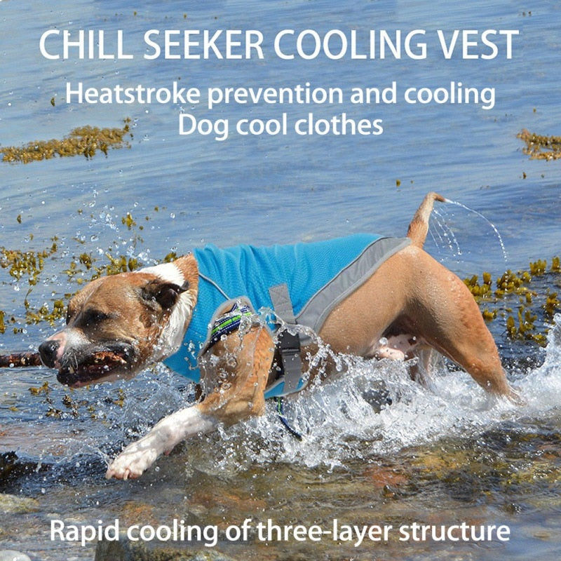 Dog Cooling Harness