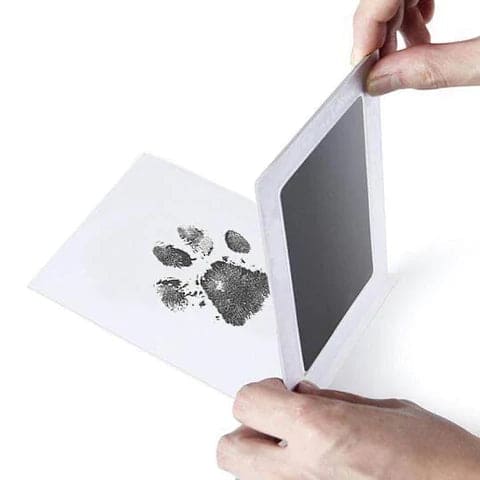 Paw Print Stamp Pad – Loyal Dogs