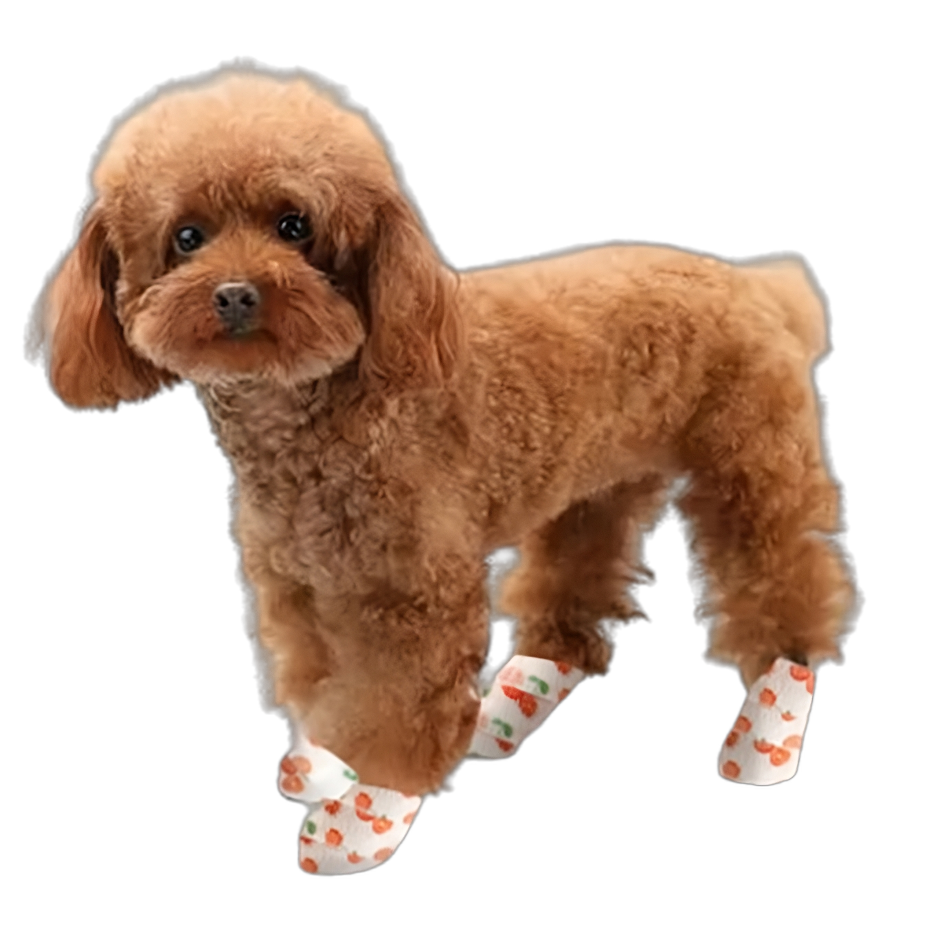 Dog Anti-Dirty Bandage