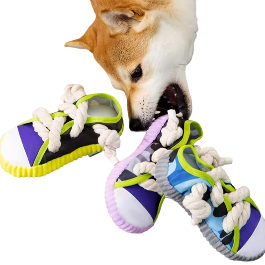 Shoe Squeaky Toy