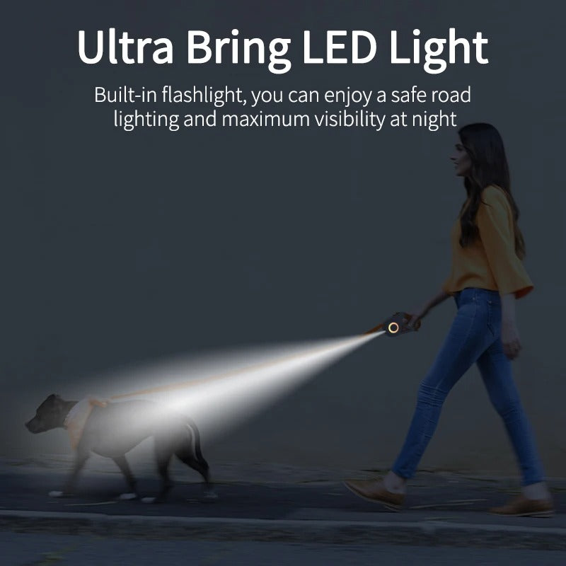 LED Dog Leash Light